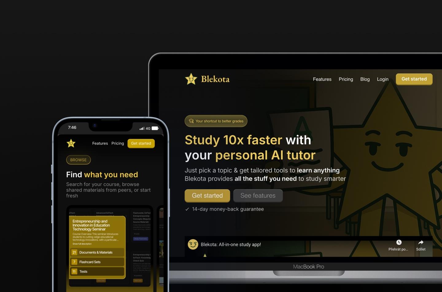 Blekota WordPress website dark version