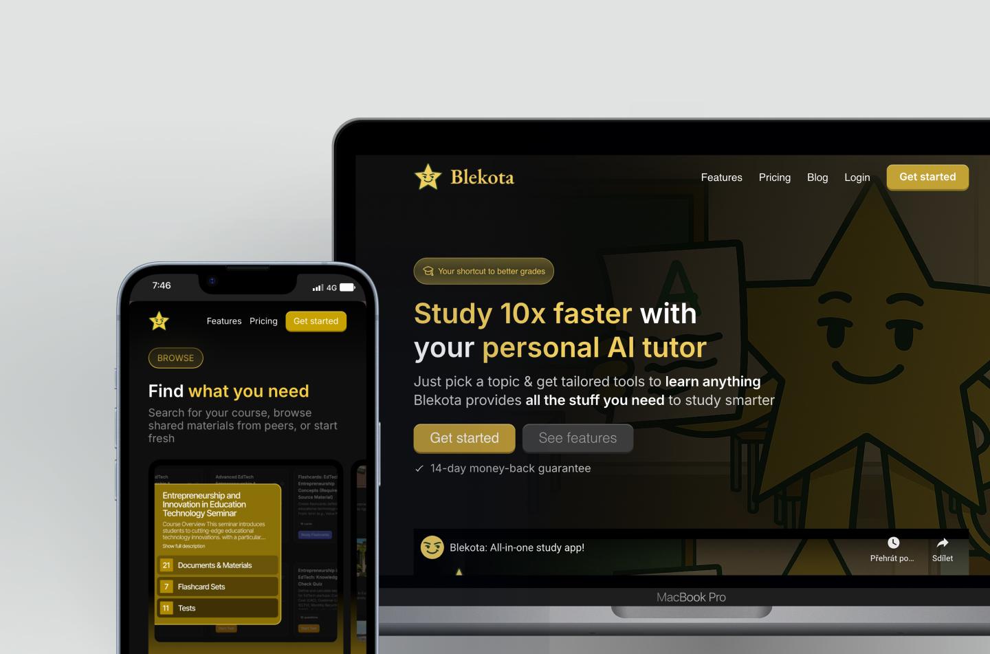 Blekota WordPress website